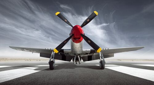 P51D Mustang - Tim Wallace - Photograph