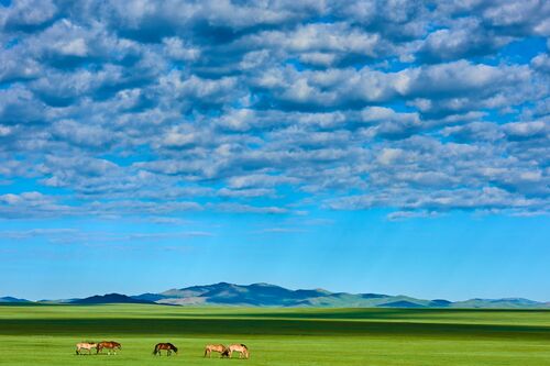 ENTRE CIEL ET STEPPE - TUUL ET BRUNO MORANDI - Photographie