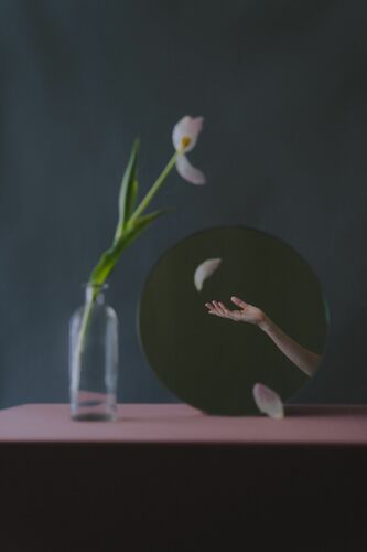 DANCING TULIP DANCING TULIP - ZIQIAN LIU - Fotografía