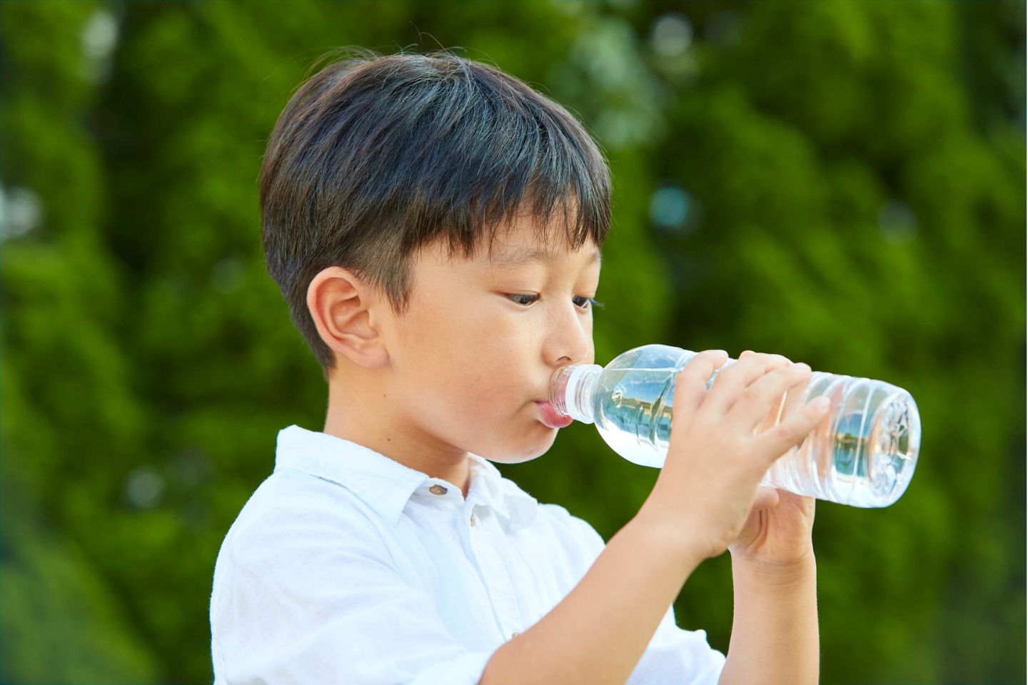 Nên uống nước như thế nào?
