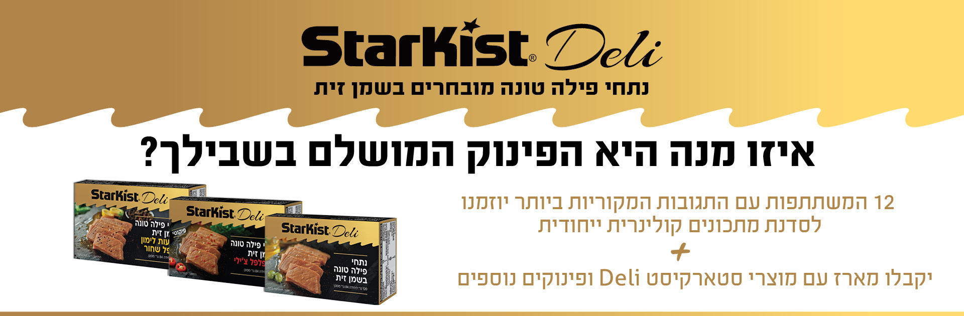 top section bacground