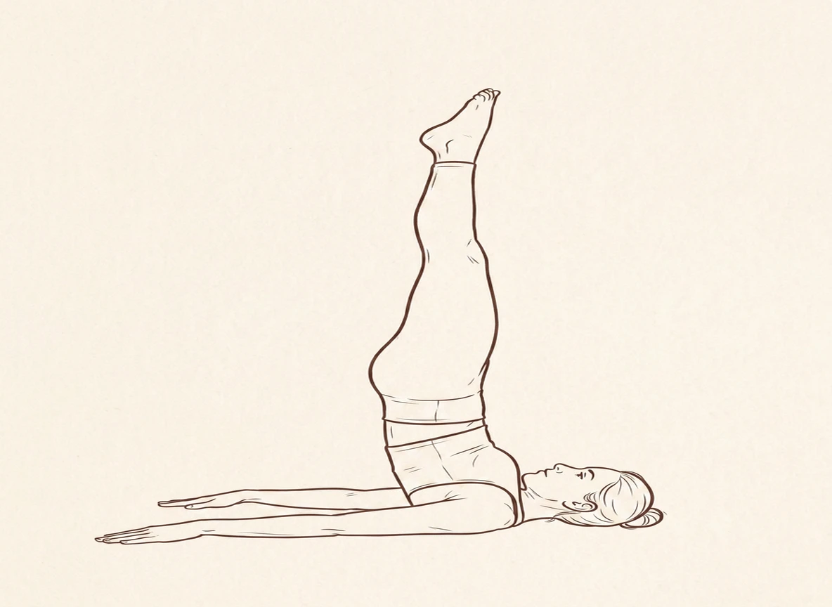 Animated ink drawing of Unsupported Shoulderstand
