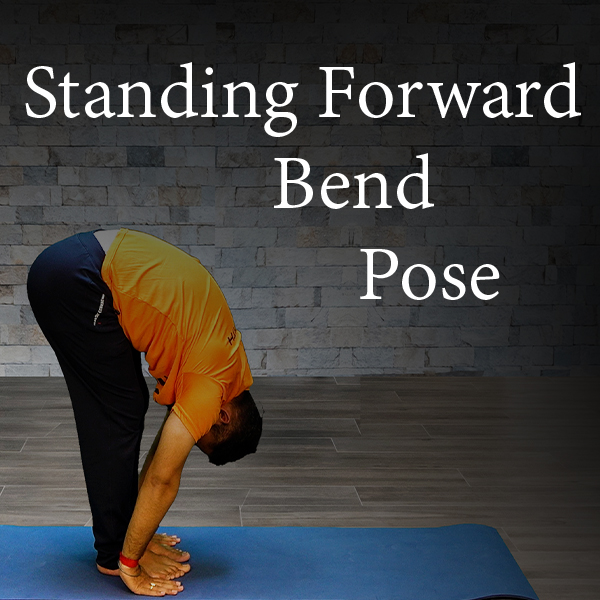 Wide-Legged Standing Forward Bend: How to Practice Prasarita Padottanasana