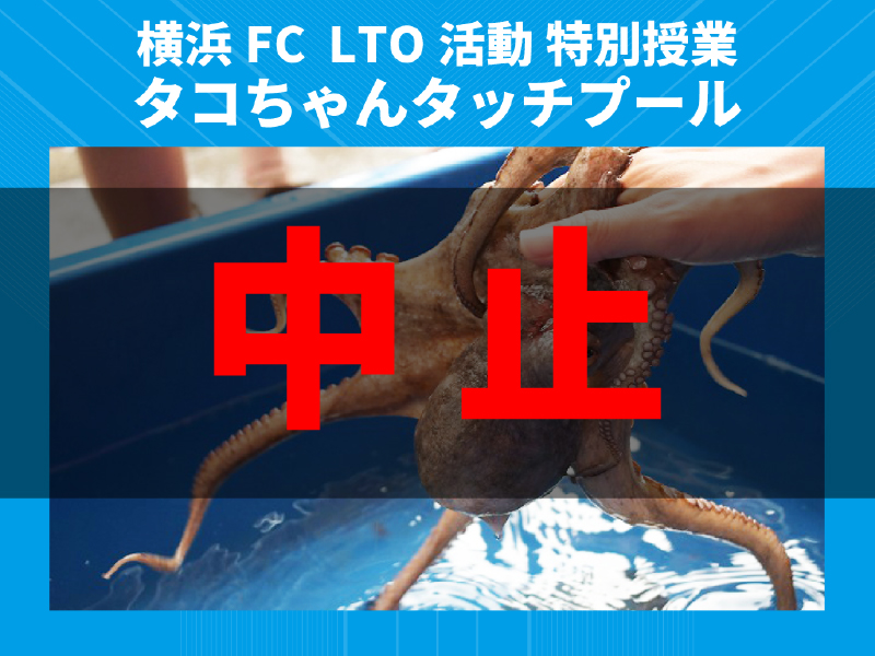 【中止】横浜FC  LTO活動 特別授業 海の生きものにタッチしてみよう！タコちゃんタッチプール