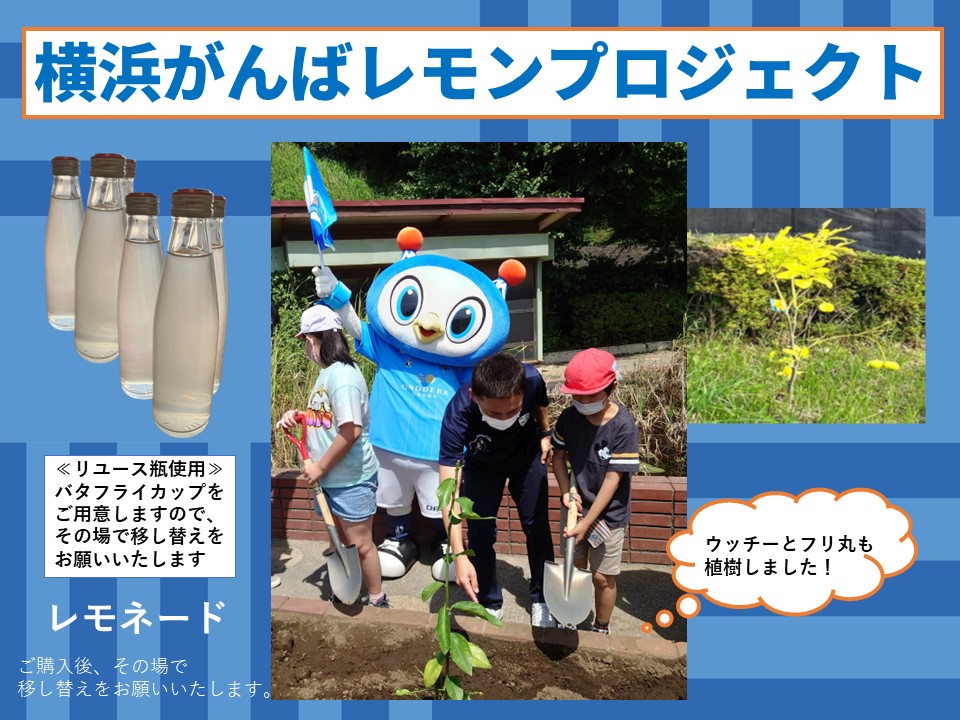 【にし区民DAY】横浜がんばレモンプロジェクトのレモネードの販売