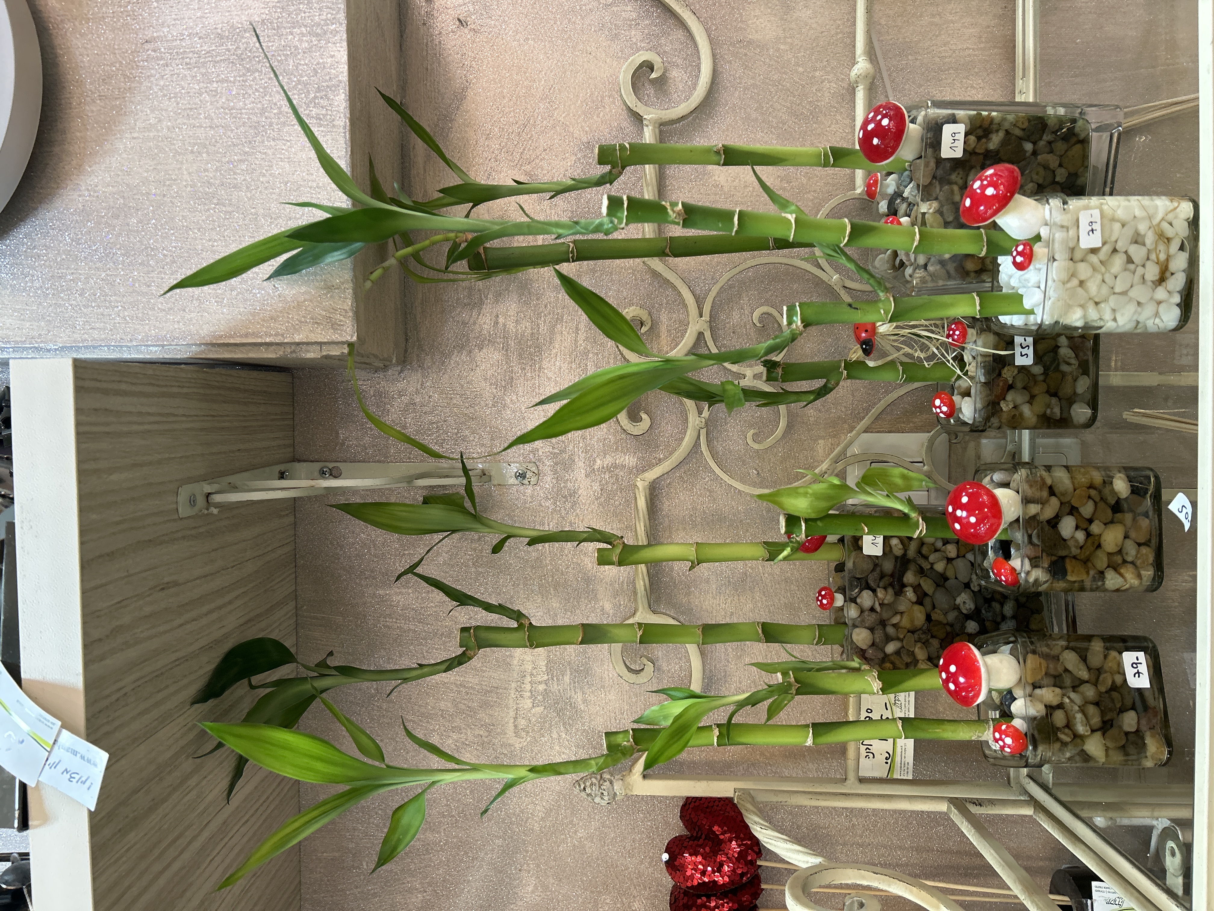 לאקי במבוק מעוצב