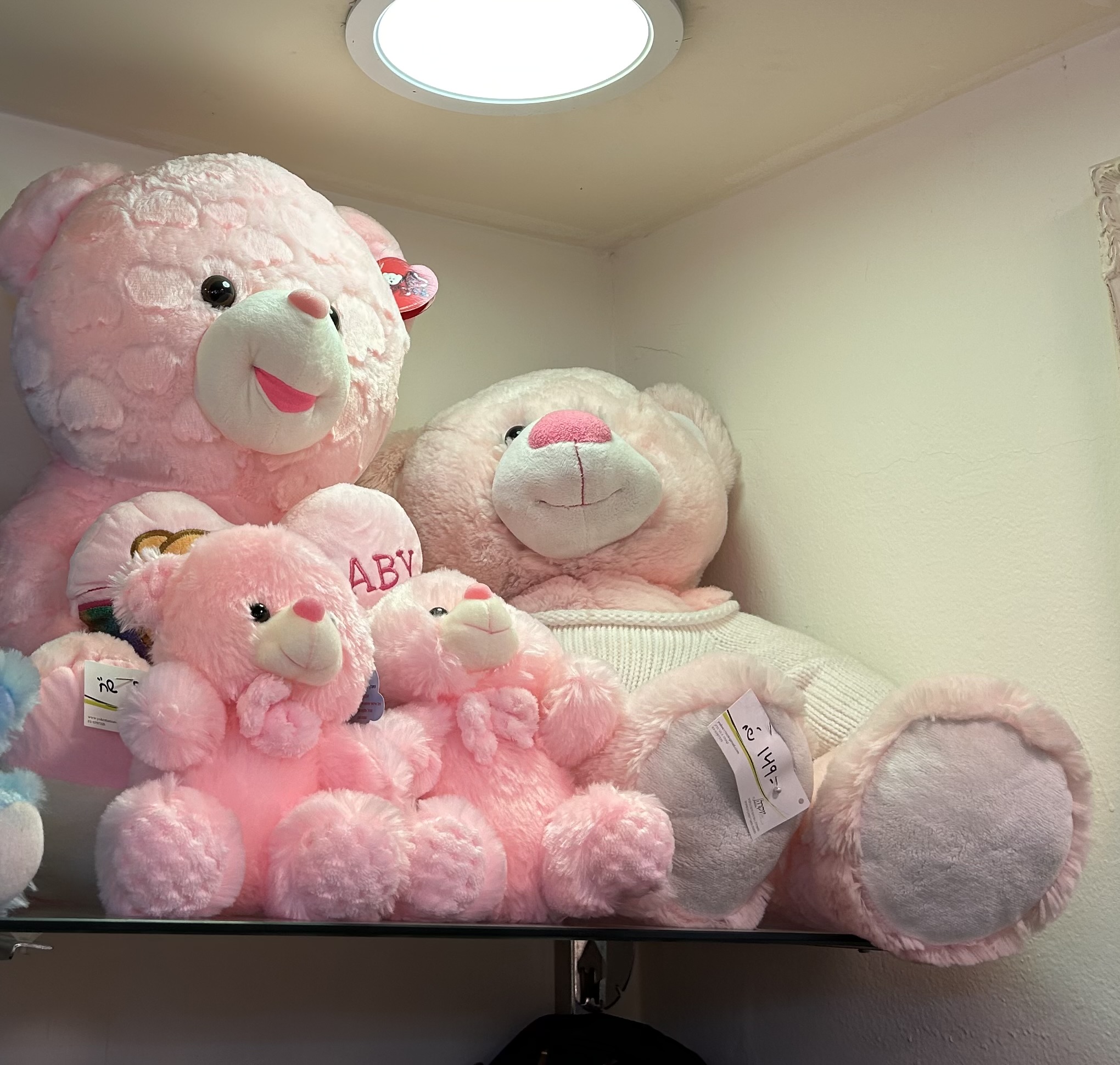 דובוני פרווה להולדת הבת