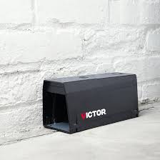 מלכודת אלקטרונית לקטילת חולדות ועכברים