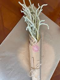 ענף כיסופית