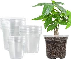 כלי פלסטיק שקוף