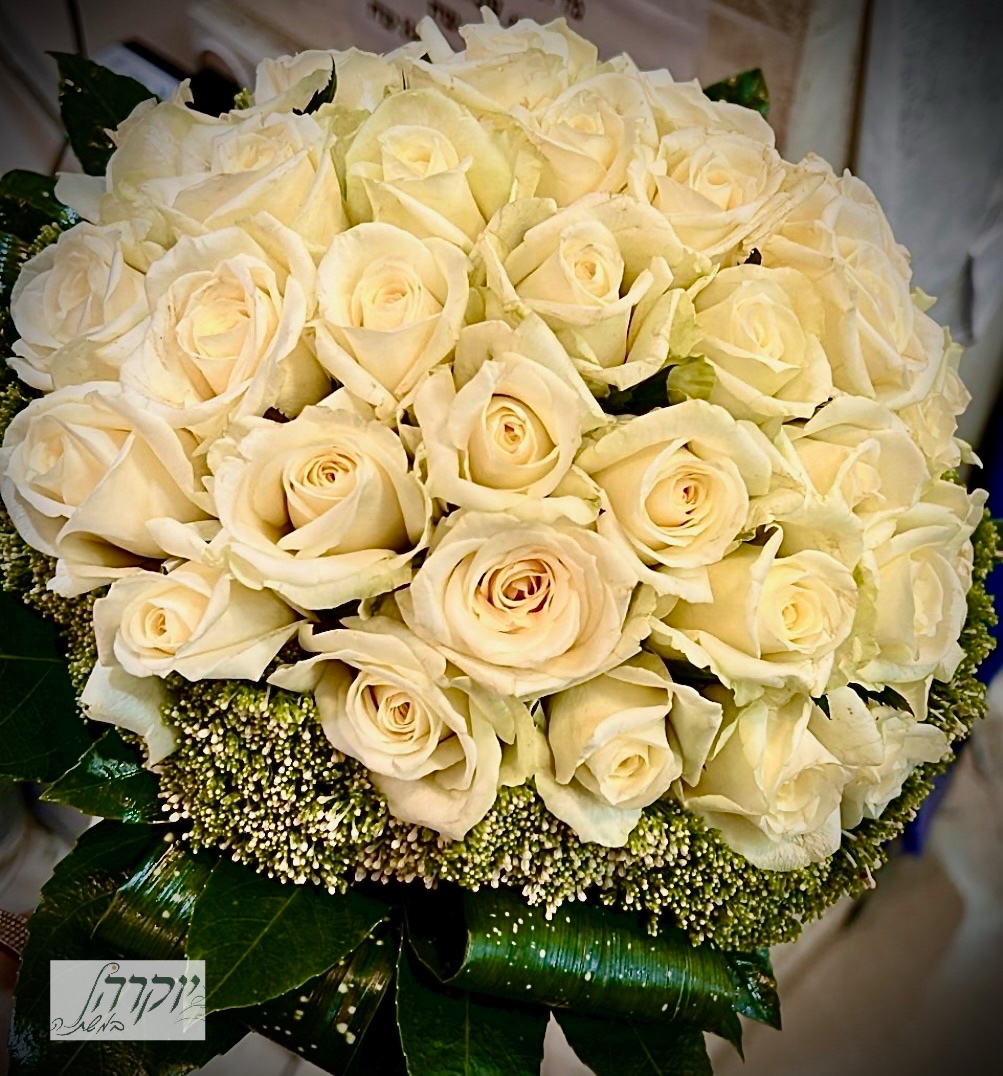 לבן ומלכותי