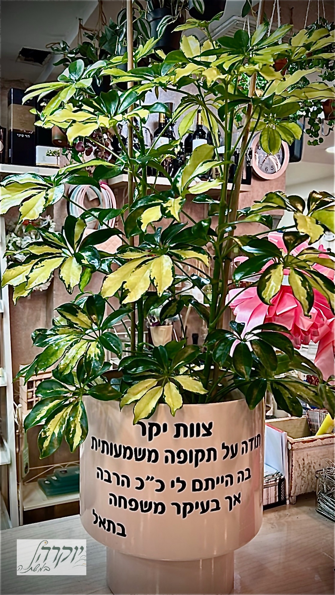 מתנה עם הקדשה אישית