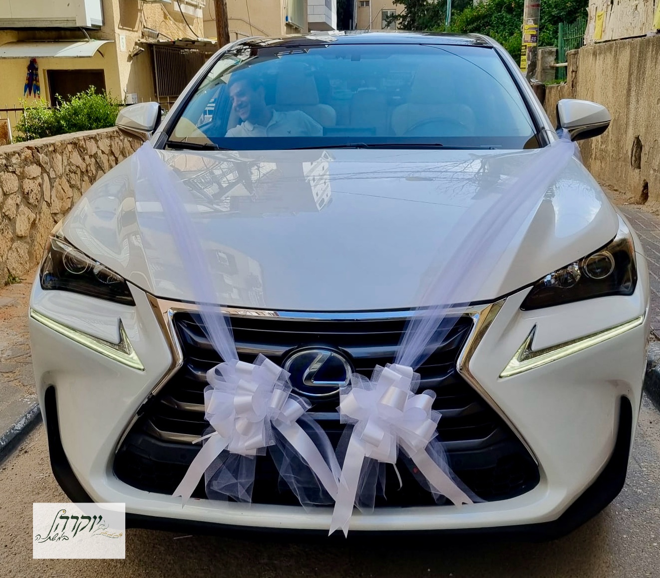 קישוט רכב דגם 4