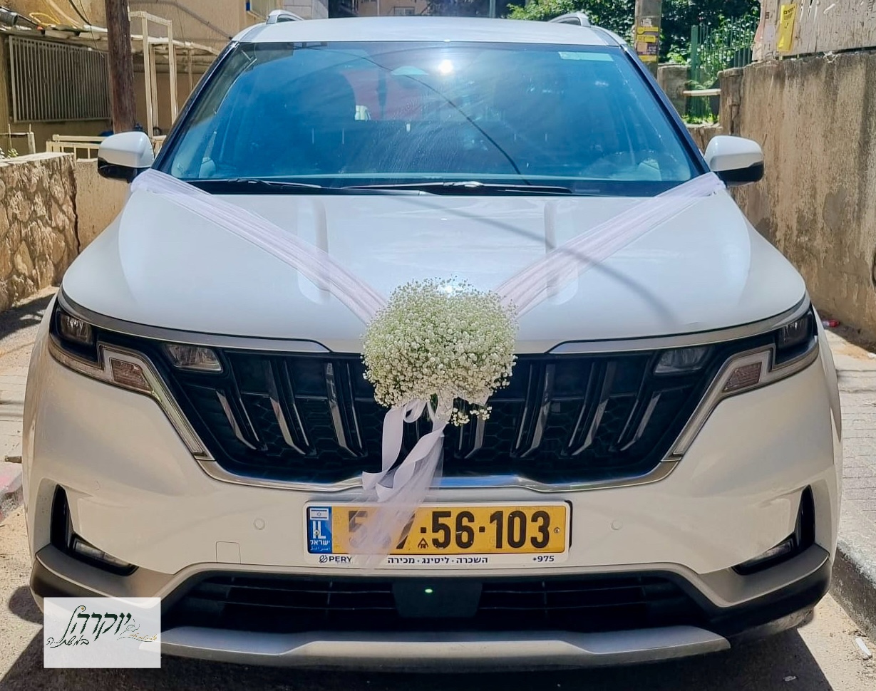 קישוט רכב דגם 3