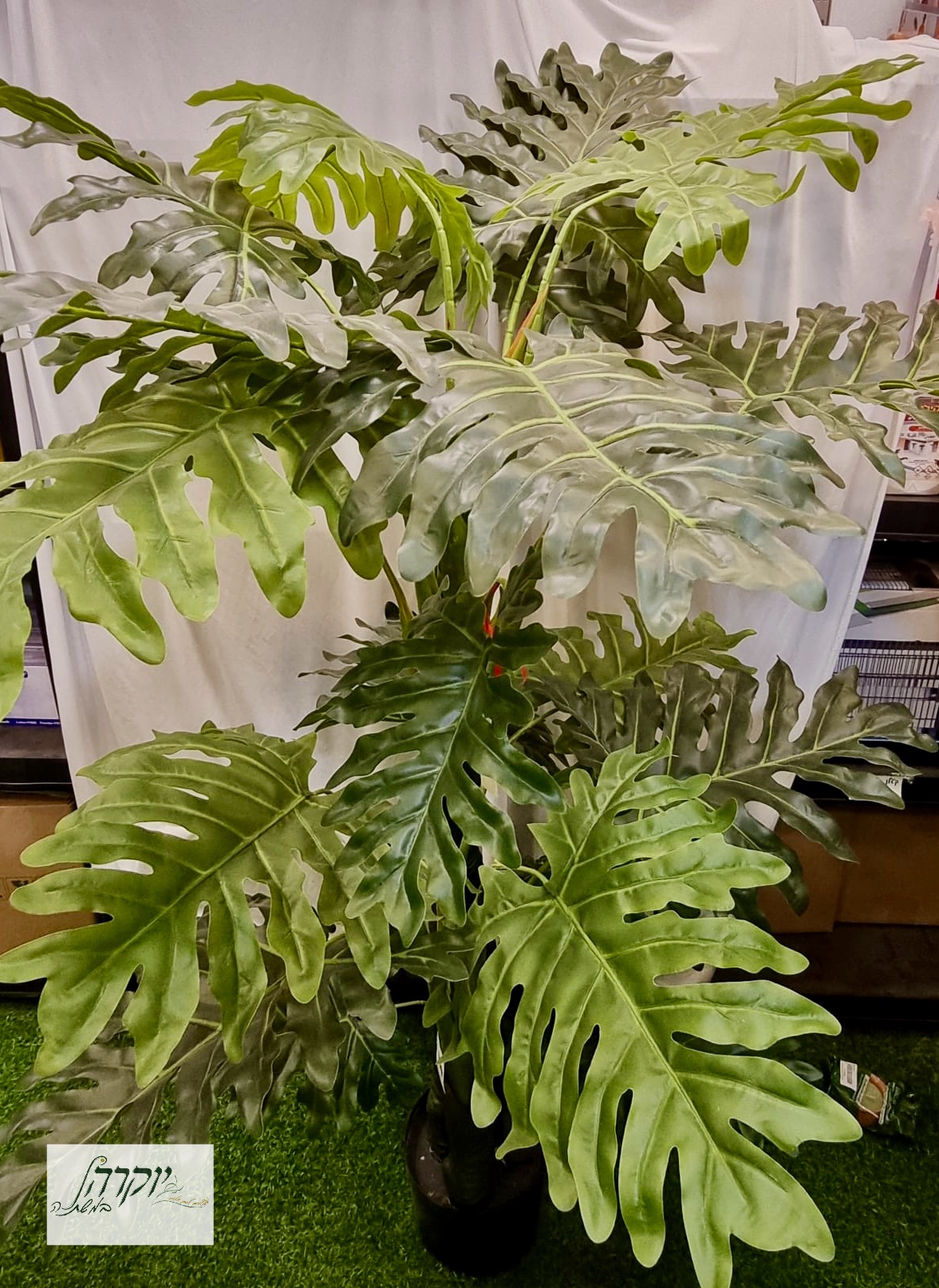 ביפי בינוני מלאכותי