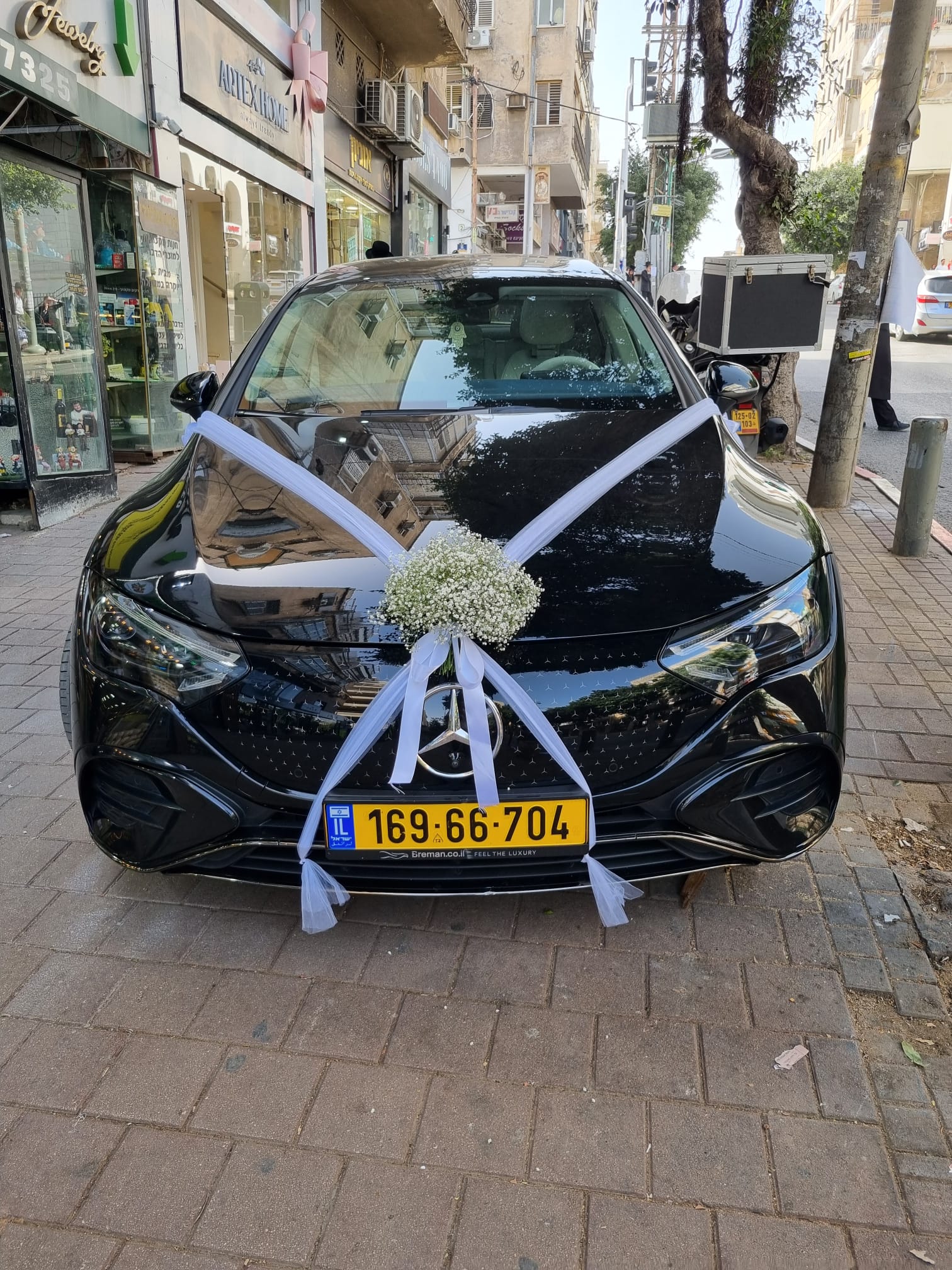 בוקט גיבסנית