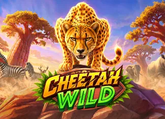 Cheetah Wild