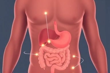Acupressure points for digestive health illustration