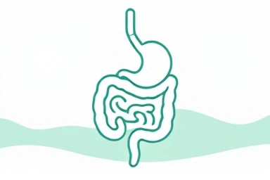 Symbolic representation of a healthy digestive system.
