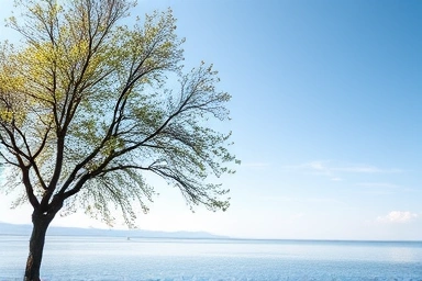 Peaceful landscape symbolizing emotional balance and calm.