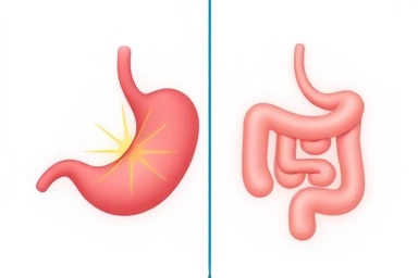 Stomach and duodenum comparison with pain indicators