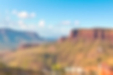 Vision improvement, focus, eye health, lutein omega-3 benefits
