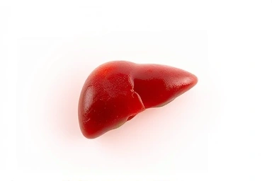 Healthy liver protected from unseen dangers