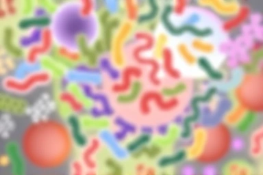 Healthy gut microbiome illustration, diverse friendly bacteria.