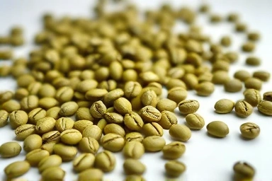 Unroasted green coffee beans, natural health supplement ingredients