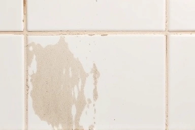 Clean bathroom tile grout, symbolizing effective cleaning.
