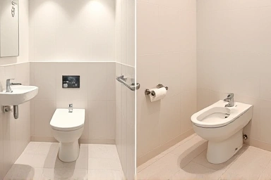 Bidet rental vs purchase bathroom comparison