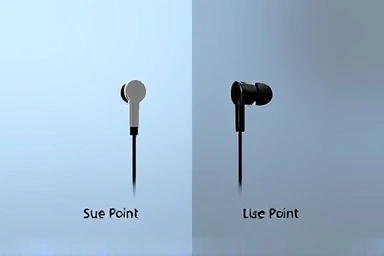 Custom earphones price comparison, high-end vs budget