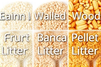 Comparison of different cat litter textures: clay, bean curd, wood pellets.