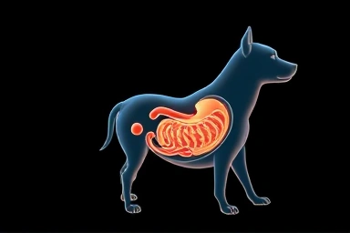 Symbolic representation of gentle dog digestion and nutrient absorption.