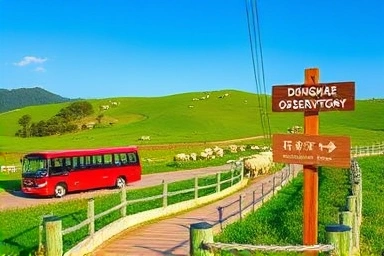 대관령 삼양목장 풍경과 셔틀버스