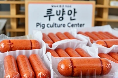 만든 소세지 포장
