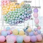 100 Makaron Pastel Balon + Balon Zinciri ve Pompa Seti Soft Balon