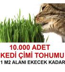 10.000 Adet Kedi Çimi Tohumu (1 M2 Alana Yetecek Kadar)