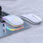 A2N A2 Kablosuz Fare Wireless Mouse 4 Tuşlu Sessiz Şarj Edilebilir Dpı Kontrol- Beyaz