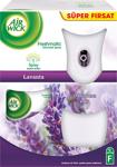 Air Wick Freshmatic Kit Lavanta Oda Kokusu