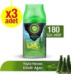 Air Wick Freshmatic Yedek Karadeniz 3 Lü