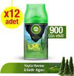 Air Wick Freshmatic Yedek Memleketimin Kokuları Karadeniz 250 ml 3 Adet 4'lü Paket Oda Kokusu