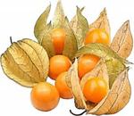 Aker Yöresel 100 Gr Physalis Peruviana Altın Çilek