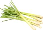 Aker Yöresel 25 Gr 1 Paket Yerli Lemongrass