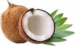 Aker Yöresel Tropikal Meyve Hindistan Cevizi (Coconut) 1 Adet