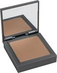 Alix Avien Bronzlaştırıcı Pudra Bronzing Powder 01