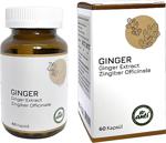 Anti Ginger Extract ( Zencefil Ekstresi )Mikroenkapsüle 60 Kapsül