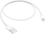 Apple Lightning - Usb Kablosu (0,5 M)