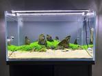 Aqualed Led Aydınlatma Armatür Beyaz 30Cm 6500K