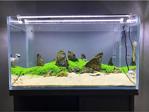 AquaLed Led Aydınlatma Armatür Beyaz 50Cm 6500K